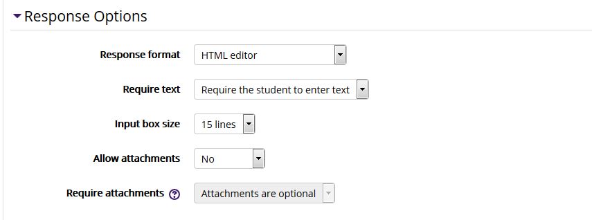 Essay response options