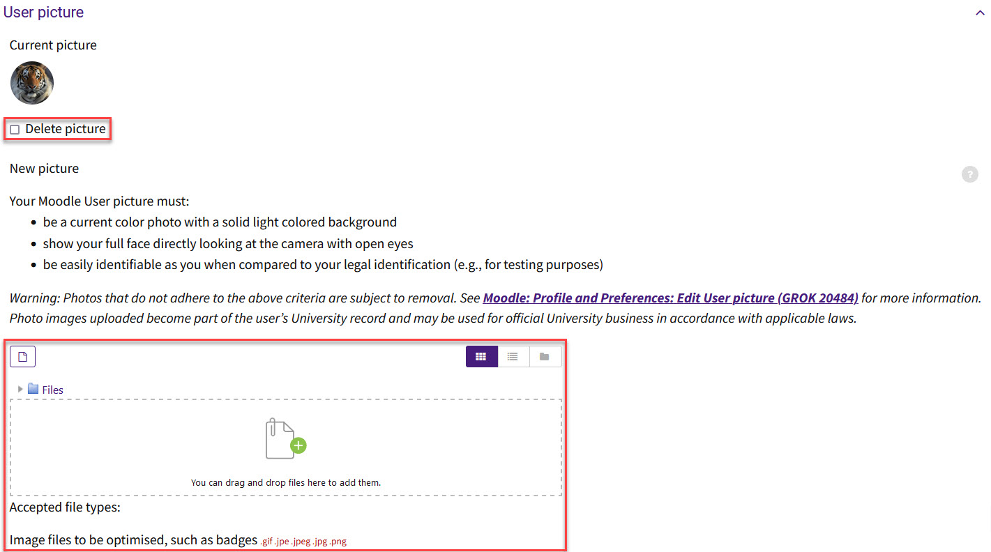 User picture section with delete picture and file selection areas outlined.