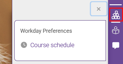 Student's view of Workday preferences block