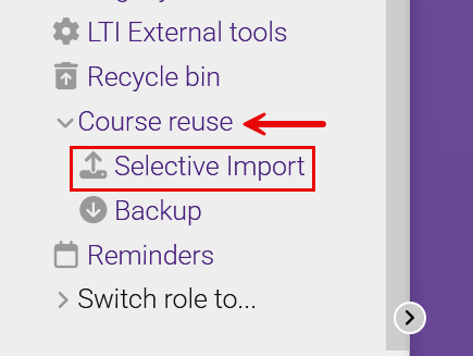 Course reuse menu with Selective Import highlighted