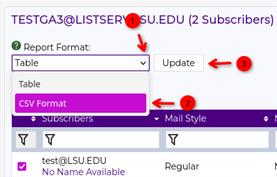 CSV selected in report format, update button